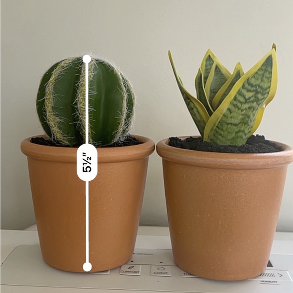 Fake Cactus and Fake Snake Plant with Pots and Realistic texture and Soil! - Picture 2 of 5